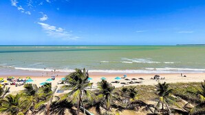 Una playa con cielos despejados, aguas tranquilas y palmeras.