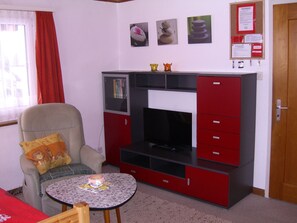 Fernseher