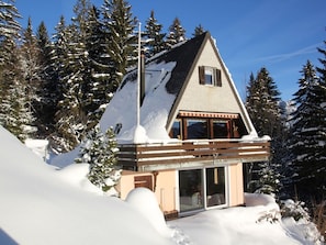 A chalet with a sloped roof, wooden balcony, and a glass door entrance, surrounded by snow-covered trees.