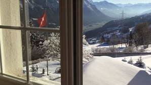 Uitzicht vanuit een raam op een besneeuwd berglandschap met een vlag.