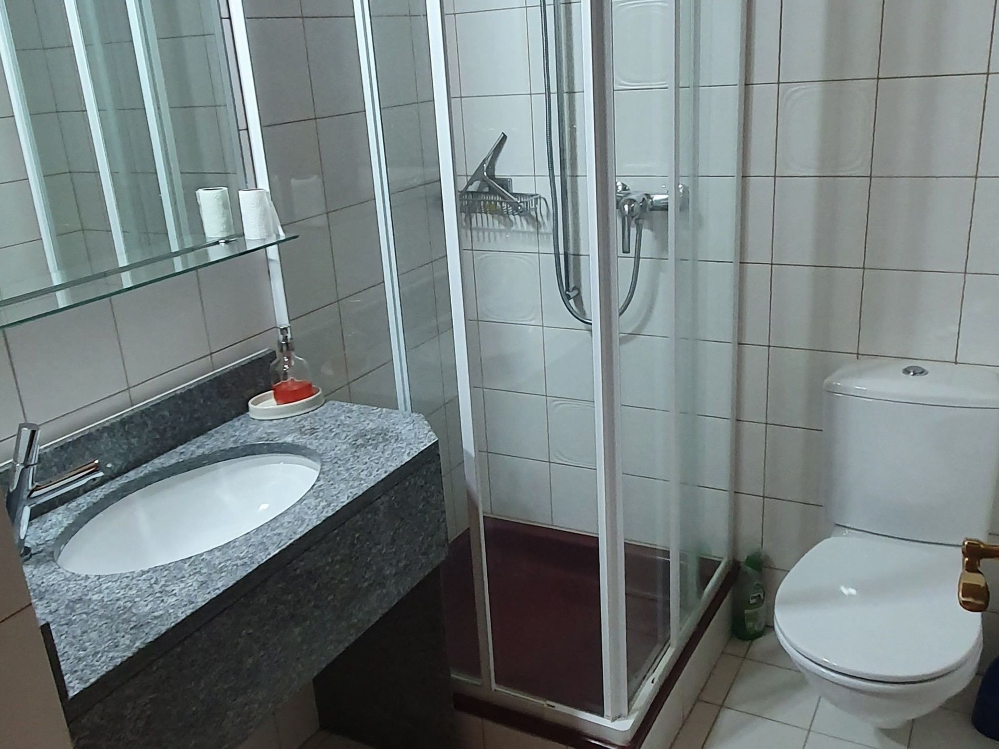 Ein Badezimmer mit einer Duschkabine aus Glas, einer weißen Toilette und einem Waschbecken mit Granitplatte.