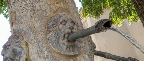 Un árbol con una escultura de cabeza de león y un tubo metálico.