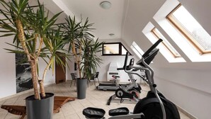 A modern gym with exercise equipment, large windows, and potted plants. - Butorowy Residence | Sauna & Gym | Mountain View (Kościelisko)