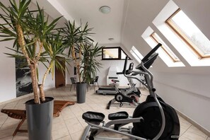 Ein modernes Fitnessstudio mit Trainingsgeräten, großen Fenstern und Topfpflanzen.