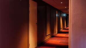 A hotel hallway with doors on one side and a carpeted floor.