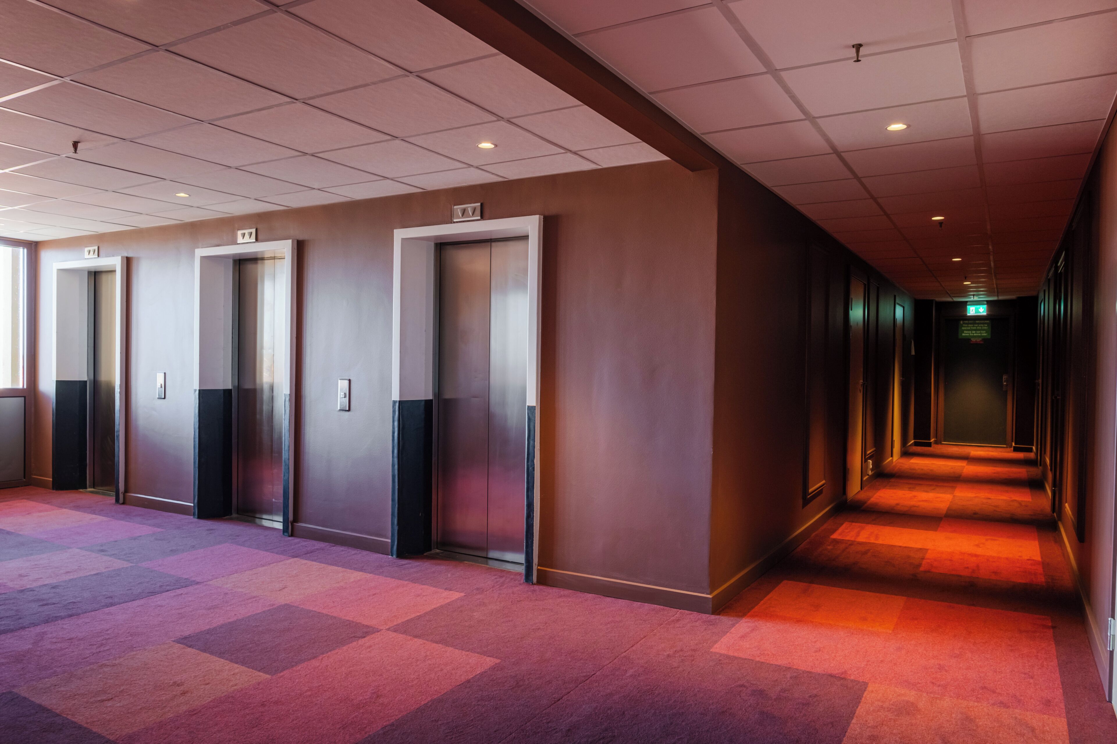 A hotel corridor with four elevators, carpeted floors, and a long hallway.