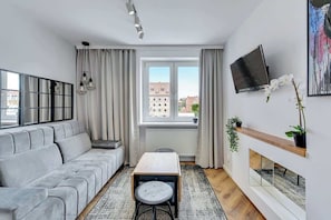 Fernseher, Arbeitsbereiche