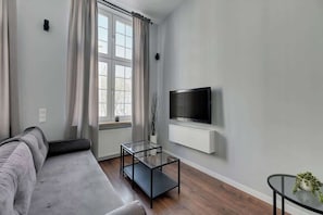 Fernseher, Arbeitsbereiche
