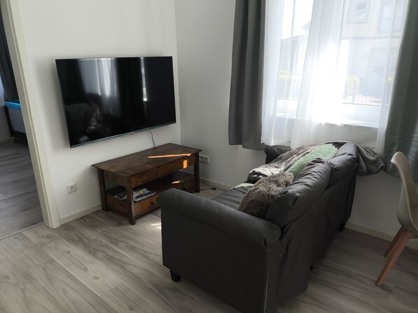 Televisión 