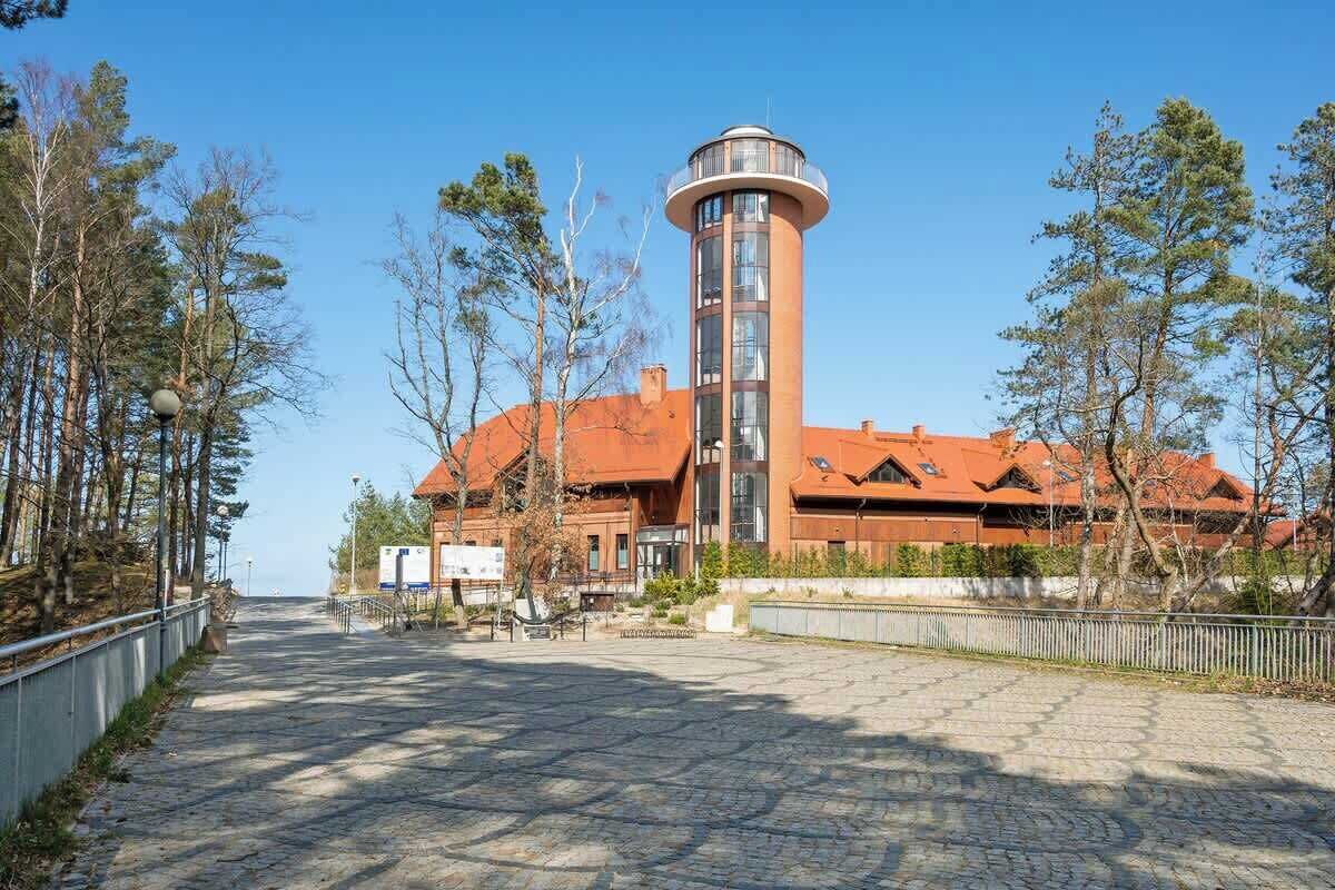 Un edificio con una torre, un paseo empedrado y árboles.