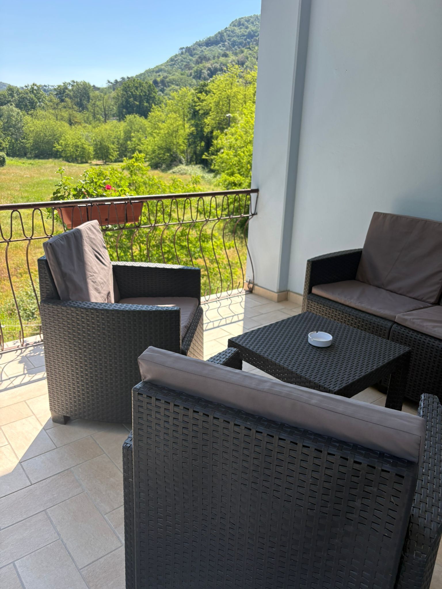 Un balcone con mobili in vimini, una pianta in vaso e vista su un paesaggio verde.