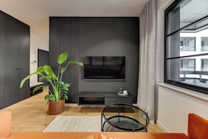 Fernseher, Arbeitsbereiche