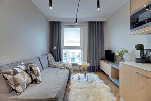 Fernseher, Arbeitsbereiche