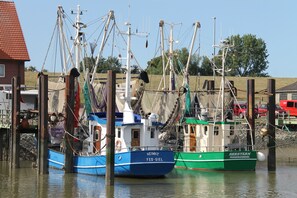 Marina/club náutico