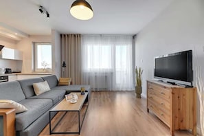 Fernseher, Arbeitsbereiche