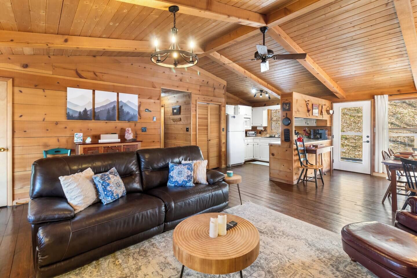 TV, fireplace, books