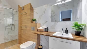 Shower, hair dryer, shampoo