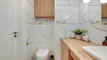 Douche, sèche-cheveux, shampoing
