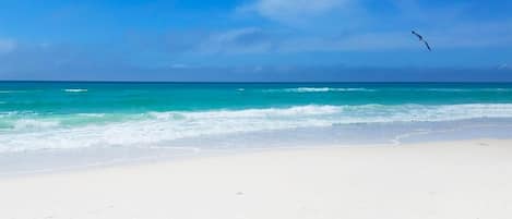 House, Multiple Beds (Laguna Breeze Retreat) | Beach