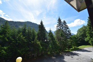 Property grounds - CROZZON view Apartment MhD (Madonna di Campiglio)