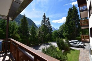 Property grounds - CROZZON view Apartment MhD (Madonna di Campiglio)