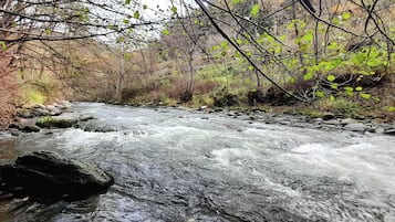 A river flowing through a forested area with rocks and trees.