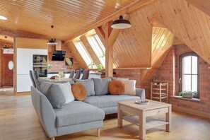 Fernseher, Arbeitsbereiche