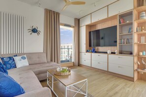 Fernseher, Arbeitsbereiche