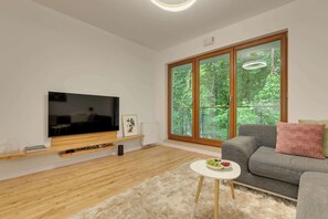 Fernseher