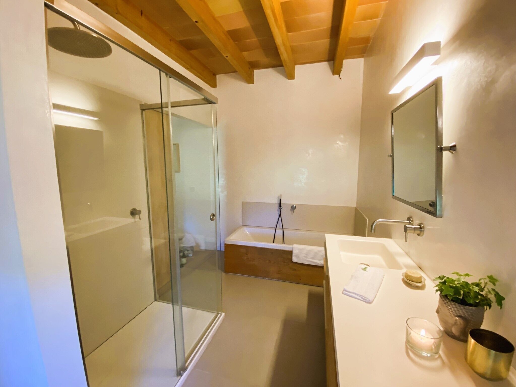 Une salle de bain moderne avec une douche en verre, une baignoire, un lavabo avec un miroir et une plante en pot.