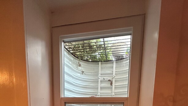 A small window with a white frame and two panes of glass, one with a metal ladder and the other with a plant.