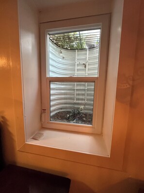 Ein kleines Fenster mit weißem Rahmen und zwei Glasscheiben, eine zeigt eine Metallleiter, die andere eine Pflanze.