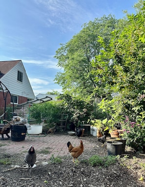 Property grounds - Comfortable bedroom with adjoining bathroom in Ann Arbor residence (Ann Arbor)
