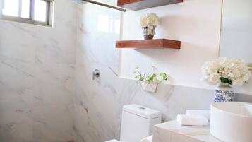 Shower, towels, soap, toilet paper