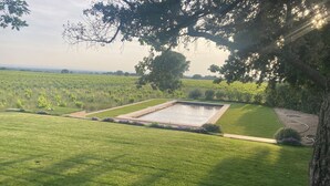 Un jardín bien cuidado con un estanque rectangular, rodeado de césped y bordeado de árboles.