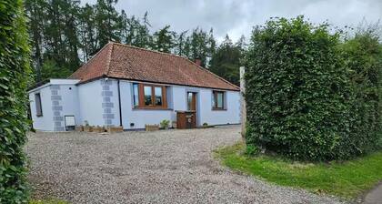 Luxury Home Stay With Privacy and Pet Friendly