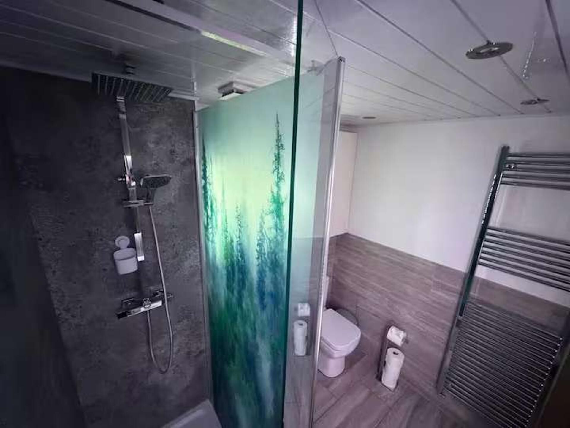 A modern bathroom with a glass shower enclosure, a toilet, and a towel rack.