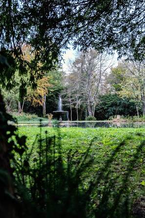 A park with a fountain, surrounded by trees and greenery.