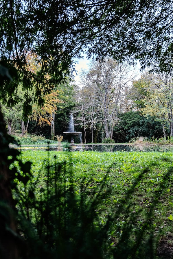 A park with a fountain, surrounded by trees and greenery.