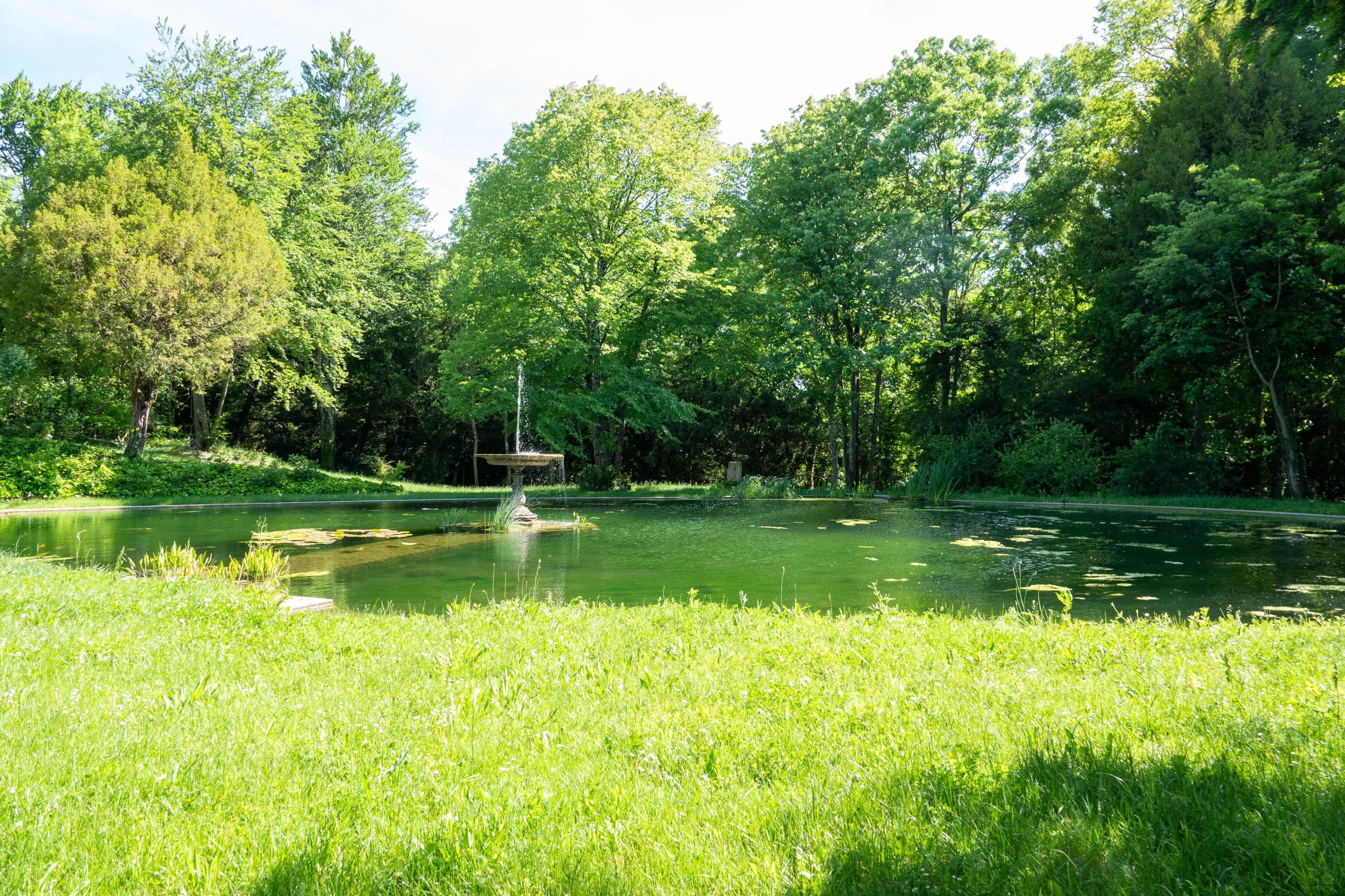 Un étang paisible, entouré d’une végétation luxuriante et d’arbres.