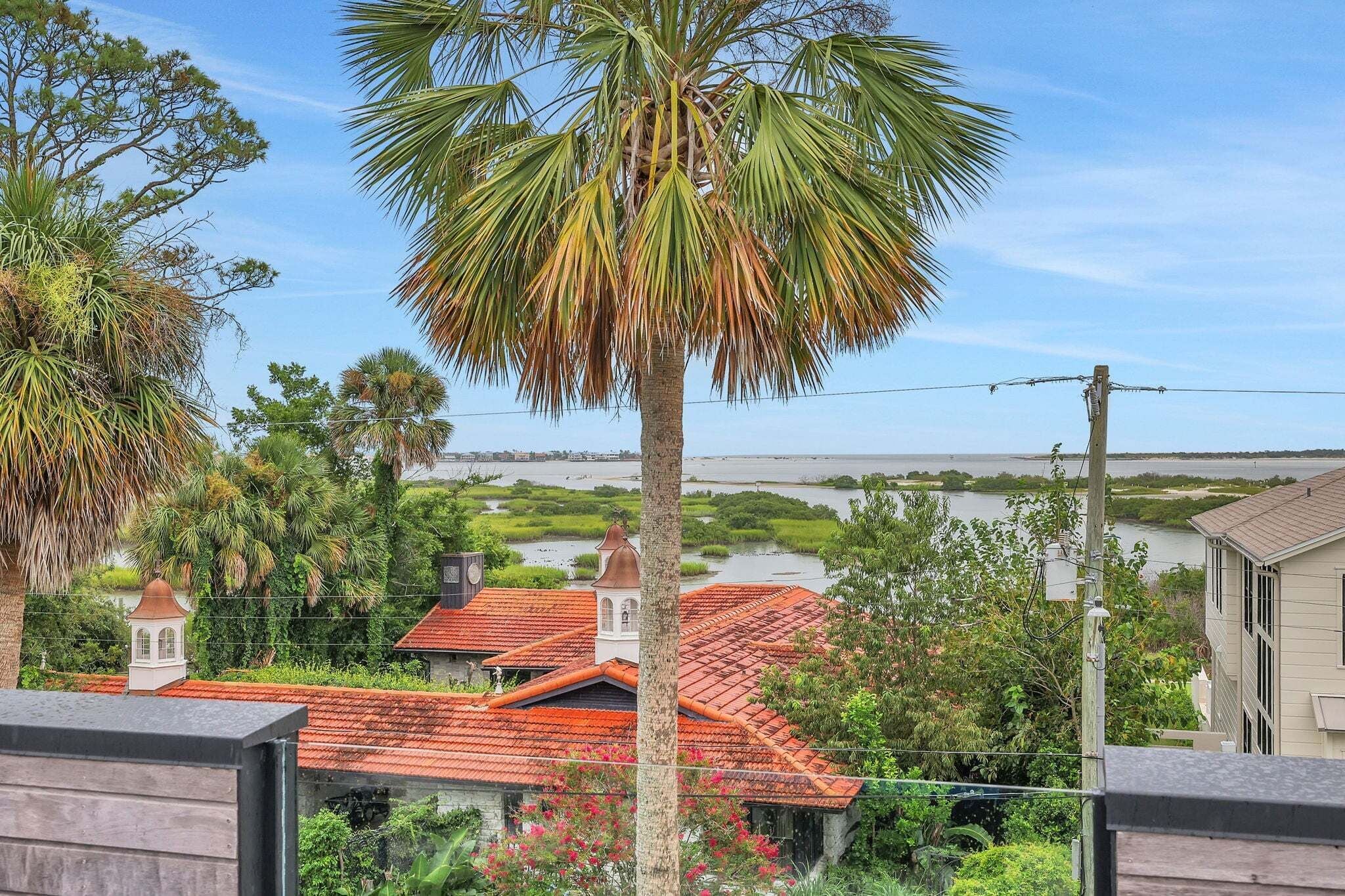 A residential area with a prominent palm tree, red-roofed houses, and a body of water in the background.