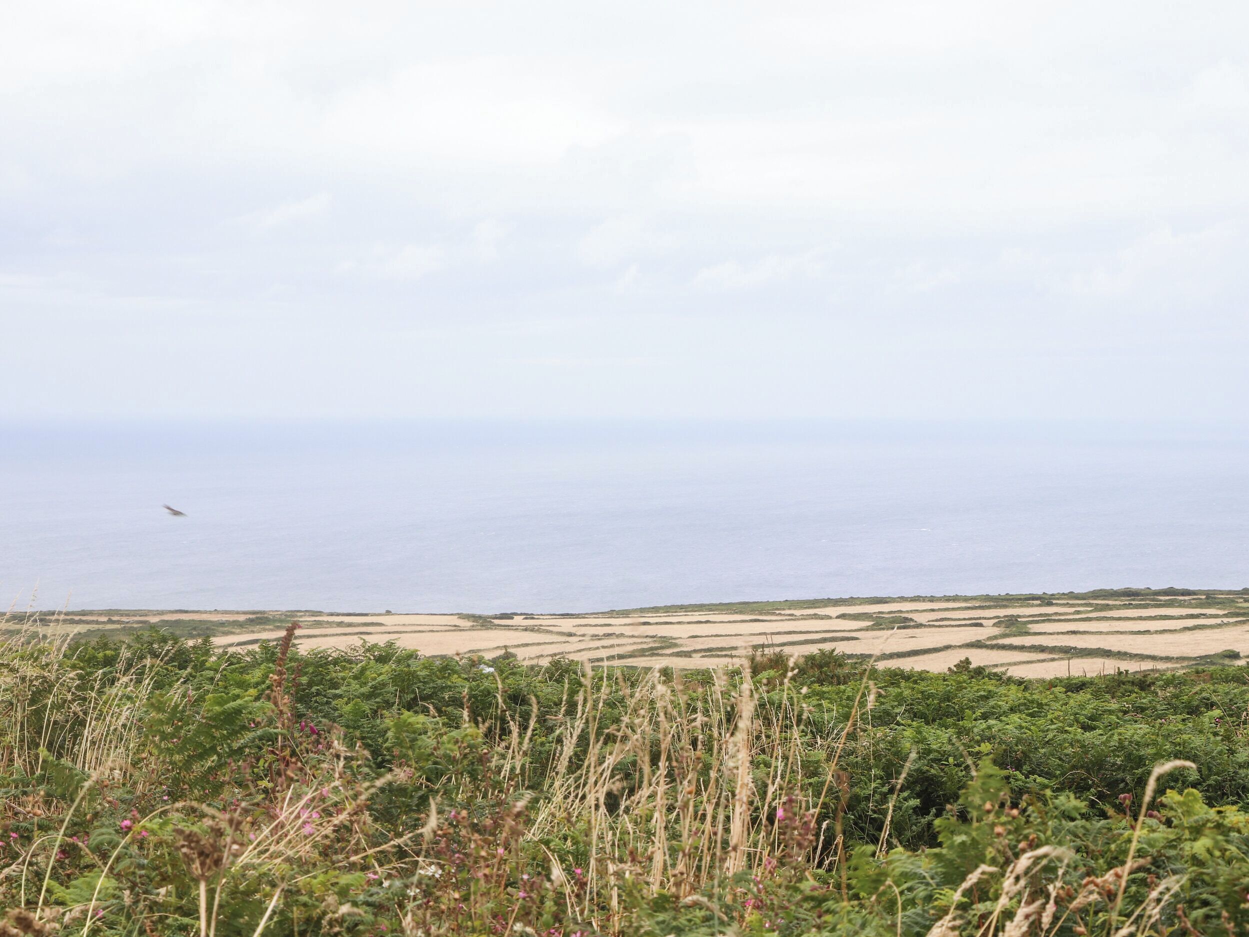 A coastal landscape with fields and a distant view of the sea.