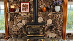 Una chimenea de piedra con un tiro negro, rodeada de estanterías con adornos y una planta en maceta.