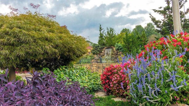 Un jardín con diversas plantas y un muro de piedra.