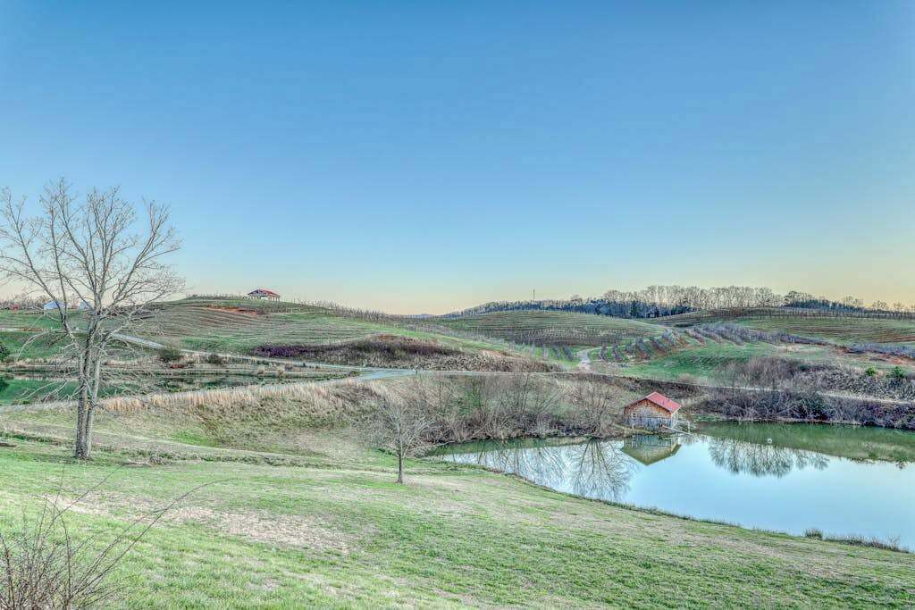 A rural landscape with rolling hills, a small pond, and a distant red-roofed building.