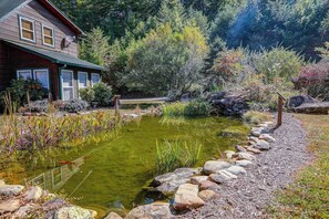 Property grounds - Toccoa River Retreat (Suches)