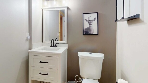 A bathroom with a white sink, mirror, and toilet. There is a framed picture on the wall and a towel rack. - Maple Summit Ellijay (Ellijay)