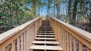 Una escalera de madera que da paso a un área boscosa.