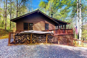 Exterior - Bluebird Bliss Cabin (Blue Ridge)