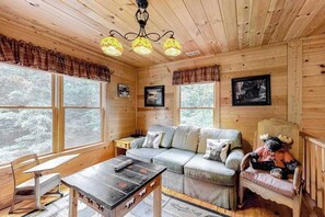Fernseher, Kamin, DVD-Player, Arbeitsbereiche